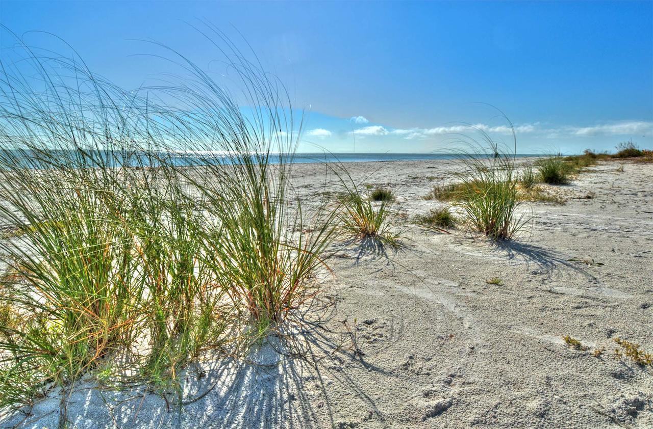 Seahorse Cottages - Adults Only Sanibel Exteriér fotografie